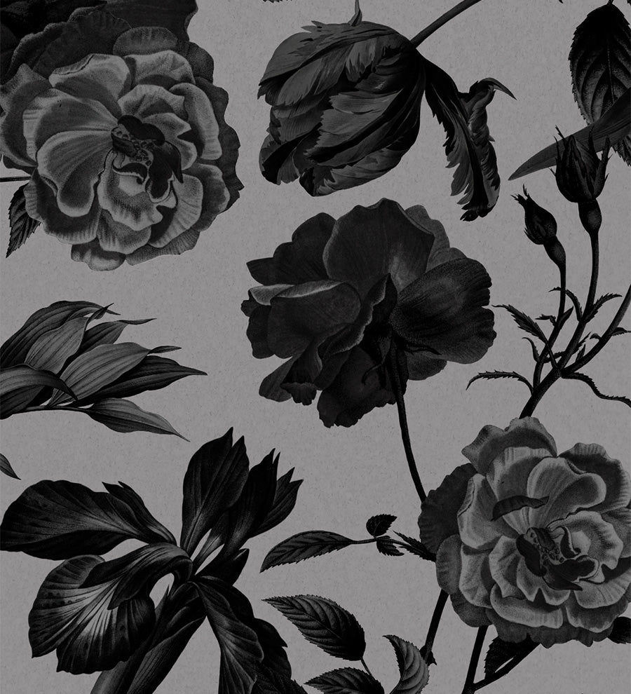 "Dark Romance" E-Reader Flexi Case (Coming Soon)