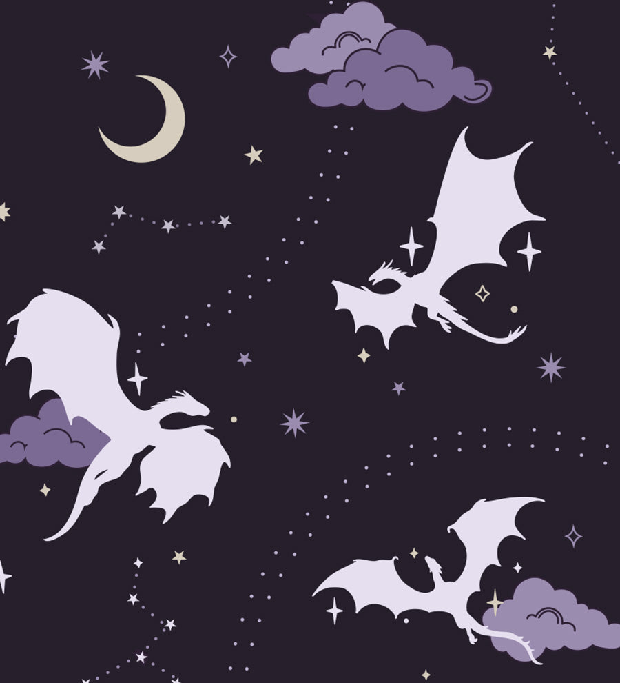 "Dragon Night" E-Reader Flexi Case (Coming Soon)